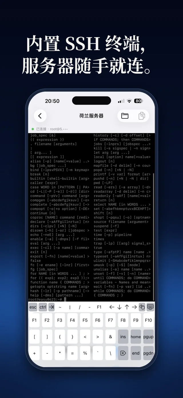 内置 SSH 终端，服务器随手就连